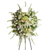 Trípode 8