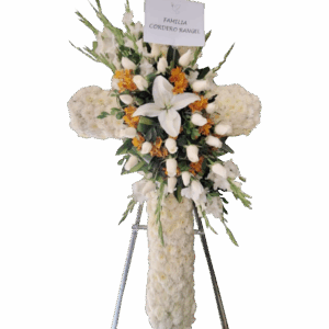 Cruz 4